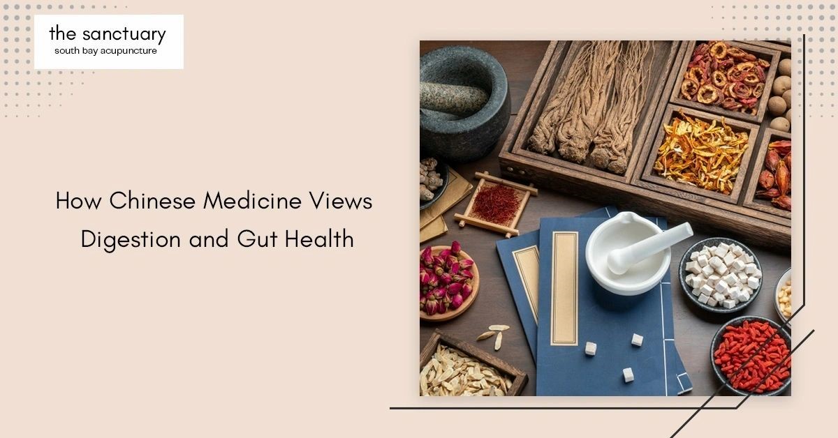How Chinese Medicine Views Digestion and Gut Health