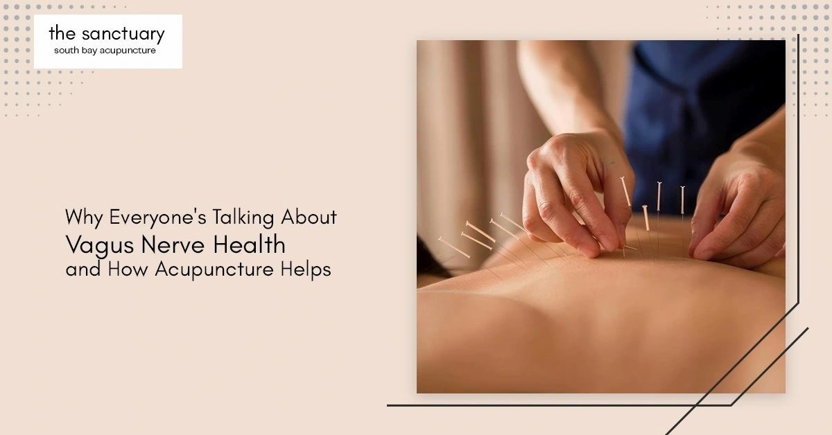 Why Everyone's Talking About Vagus Nerve Health and How Acupunctu